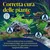 Grafico per la corretta cura delle piante in acquario: luce, CO2, vitamine e oligoelementi, ferro e potassio. Solo la combinazione di questi fattori garantisce una crescita ottimale delle piante. Grafico per la corretta cura delle piante in acquario: luce, CO2, vitamine e oligoelementi, ferro e potassio. Solo la combinazione di questi fattori garantisce una crescita ottimale delle piante.