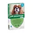 Advantage® 100 pour chien de 4 à 10 kg - 2 x 4 pipettes