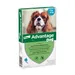 Advantage® 100 voor Honden 4 - 10 kg - 4 Pipetten - BE
