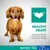 Testo in inglese: Healthy Heart. Supplemented with Glucosamine known to support joint mobility. senior 10+, meno di 10 kg.