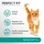 Perfect Fit Senior 11+. Salud renal, apoyo a la musculatura y perfil nutricional optimizado. Imagen de un gato naranja y blanco.