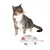 Spielzeug für Katzen mit Schmetterling an einer Stange, präsentiert neben einer Katze. Elektronisches Gerät in Weiss und Rot mit runden Öffnungen.