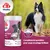 8in1 Vitality Brewer's Yeast Tablets, Skin & Coat Care, complément quotidien pour peau et pelage brillant, boîte avec photo de chien noir et blanc, texte en anglais et français visible.