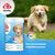 8in1 Vitality Multivitamin tabletta junior