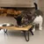 Designed by Lotte Dinnerset Linga
