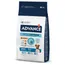 Advance Mini Adult - Ekonomipack: 2 x 7 kg