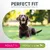 PERFECT FIT, supports whole body health. ADULT 1+, over 10kg. Image of a brown dog lying on grass outdoors. Text and icons indicate product for adult dogs above 10kg.