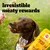 Text: Irresistible meaty rewards. Pedigree Ranchos Twists pack shown with a dog looking at a treat outdoors.