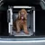 Metal and plastic transport box in a car boot, suitable for pets. Box with door and stable construction.