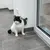 Black and white cat sitting next to a green cactus-shaped wall scratching mat mounted on a white wall.
