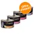 Miamor Feine Filets Naturelle, assortiment de 4 boîtes visibles : mit Huhn & Kürbis, Huhn & Schinken, Thun & Krebsfleisch, Skipjack-Thunfisch. Texte : Offre d’essai !