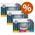 Smilla Long Sticks Mixed Pack, 10x5g. Sorten: 3x Huhn mit Ente, 3x Rind mit Leber, 2x Truthahn mit Kaninchen, 2x Lachs mit Forelle. Getreidefreie Rezeptur, weich und fleischig.