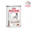Royal Canin Veterinary Canine Hepatic Mousse - 24 x 420 g