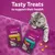 Due confezioni di snack per gatti Whiskas: Groom & Care e Pounce & Play, con croccantini visibili e un gatto grigio. Testo in inglese: Tasty Treats to support their health.