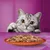 Grey tabby cat looking at a plate of wet food chunks on a table with a purple background.