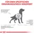 Grafik mit Hundesilhouette und Text: Für einen spezifischen Ernährungszweck konzipiert. Hinweise zu Herzproblemen, Bluthochdruck, verminderter Herzkraft und Gewichtsverlust.