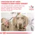 Overleg met uw dierenarts om het juiste voer uit het veterinaire assortiment van Royal Canin voor uw hond te vinden. Veterinary Nutrition-logo zichtbaar.