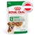 ROYAL CANIN mini ageing Gravy-Salsa, 85g, Size S bis 10 kg, Weight maintenance, hergestellt in Österreich