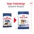 Royal Canin Maxi Adult. Neues Produktdesign und optimierte Rezeptur für Hunde ab 15 Monaten, Grösse L. Verpackungsänderung dargestellt.