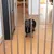 Hund bakom ett säkerhetsgaller som avskiljer ett rum. Exempel på användning av dörrskyddsgaller för husdjurssäkerhet.