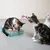 Zwei Katzen spielen mit einem Kratzspielzeug aus Pappe, das eine rosa Kugel an einer Feder enthält. Eine dritte Katze schaut zu.