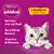 Whiskas Crunch with Chicken, Turkey & Duck - 100g