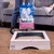 Sanicat Kitten Litter, 5L pack with Oxygen Odour Control. Suitable for easy training, shown in wooden frame litter tray.