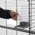 Hand opening a cage door next to a transparent plastic feeder attached to the metal bars of the cage.