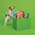 Sachets de friandises pour chien Lily’s Kitchen visibles : Duck, Chicken, Beef, Pork. Un chien regarde les sachets posés sur un cube vert. Marques et saveurs clairement lisibles.