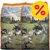 2 poser Taste of the Wild High Prairie Puppy Formula with Roasted Venison & Bison, A Grain-Free Diet. Stor gul procent-tegn badge øverst til højre.
