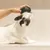 Hand hält eine grüne Bürste, während eine Katze ihren Kopf dagegen reibt. Demonstration der Nutzung eines Pflegeprodukts für Haustiere.