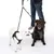Due cani con pettorine imbottite e guinzaglio doppio elastico, condotti da una persona. Adatto a passeggiate con due cani.