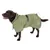 Chien portant un manteau imperméable vert clair avec capuche, fermeture à boucle noire et logo goutte de pluie blanc sur le côté. Matière textile visible.