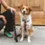 Hundegeschirr in Braun mit schwarzer Leine, präsentiert von einer Person. Geschirr und Leine zeigen das Markenlogo.
