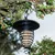 Black metal spiral-shaped bird feeder filled with bird food, hanging from a tree branch.