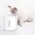 PETKIT drinking fountain with water flow, cat drinking from the fountain. Visible max and min markings for water level.