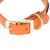 Orangefarbenes Hundehalsband mit goldfarbener Schnalle und Metallring, verstellbar durch Löcher im Band.