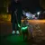 Chien en laisse avec collier lumineux vert et poignée de laisse éclairée, tenu par une personne lors d’une promenade nocturne en ville.