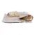 Tapis beige en tissu avec doublure polaire, chat roux à l’intérieur. Couchage pour chat visible, sans marque apparente. Tapis beige en tissu avec doublure polaire, chat roux à l’intérieur. Couchage pour chat visible, sans marque apparente.