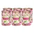 Terra Canis Cherry Blossom. Poulet avec riz, sésame et purée de cerise. Ingrédients 100 % naturels. Six boîtes au design floral.