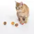 Gato naranja junto a cuatro pelotas de juego coloridas con diseño de rayas. El producto muestra juguete para gatos.