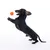 Chien teckel noir debout sur ses pattes arrière face à une balle orange en plastique, sur fond blanc.