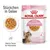 Royal Canin FHN Sterilized Kitten in Gelee - 12 x 85 g Royal Canin FHN Sterilized Kitten in Gelee - 12 x 85 g