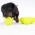 Hund leger med flere gule tennisbolde. Produktet viser brug af legetøj til kæledyr.