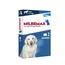 Milbemax Large Dog (NL) - 2 x 2 Tabletten