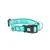 Max & Molly collar Smart ID Matrix 2.0 turquesa - M: contorno del cuello de 34-55 cm