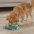 Chien marron et blanc utilisant un jeu d’intelligence vert en plastique posé au sol, dans une pièce avec parquet clair et canapé en arrière-plan.