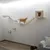 Wall-mounted climbing and play system made of wood with platforms, bridge and cave. Cat demonstrating use of the system.