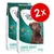 2 sacs de croquettes COMFORT Large Adult 12 kg, pour chiens dès 15 mois. Texte visible : Special Formula 4, Ideal weight maintenance, Healthy skin & shiny coat, Cartilage and joint protection.
