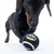 Sort hund leger med en sort tennisbold med Batman-logo og hvide striber.